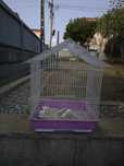 Gaiola para aves