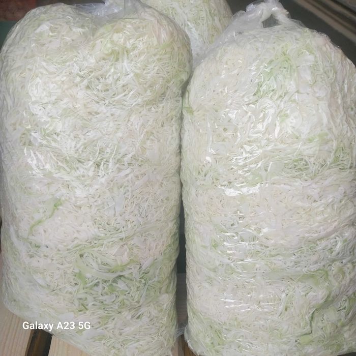 Kapusta szatkowana