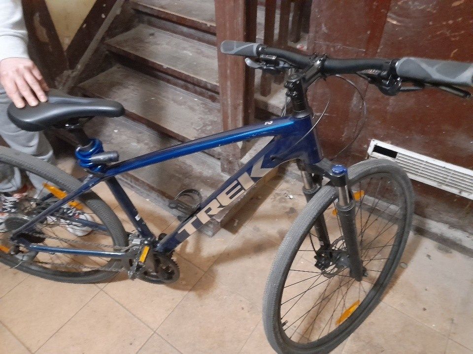 Rower crossowy TREK Dual Sport 2