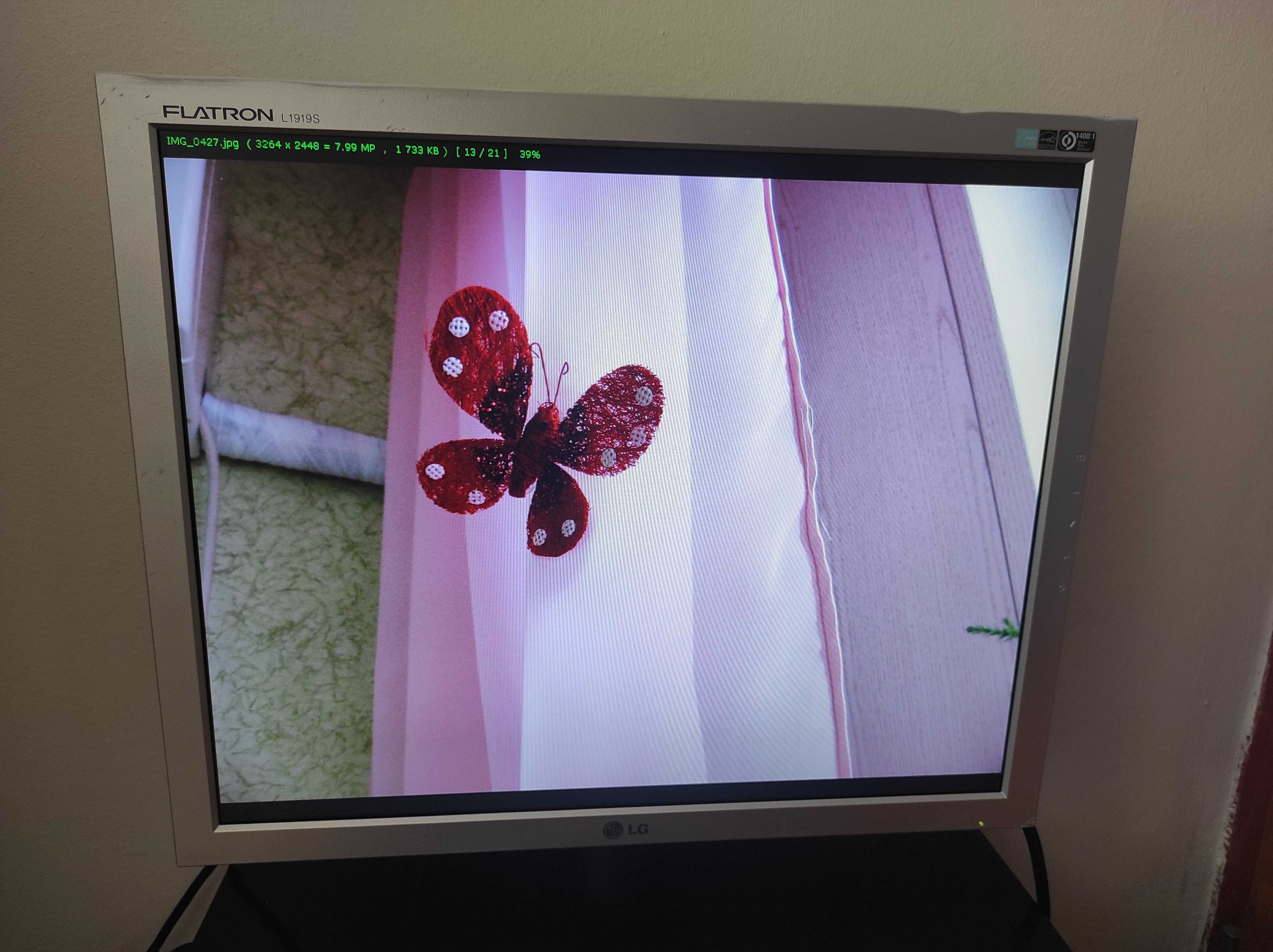 LG Flatron L1919S
