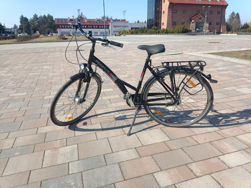 Rower czarny Pegasus
