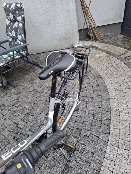 Rower Alpina eco