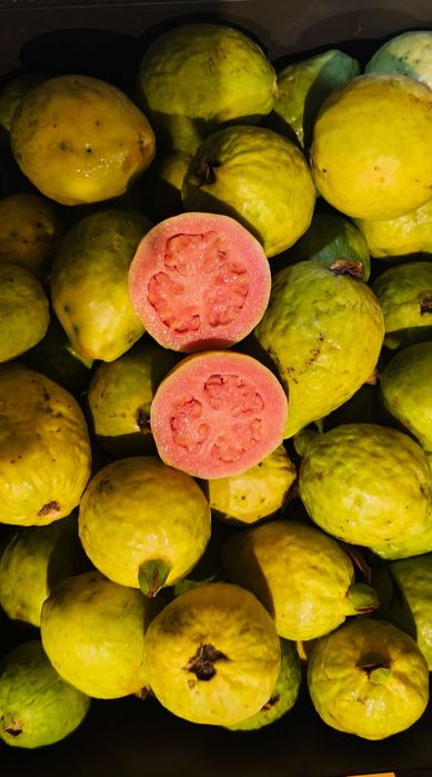 Fruta goiaba de polpa vermelha