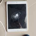 iPad mini Apple iPhone