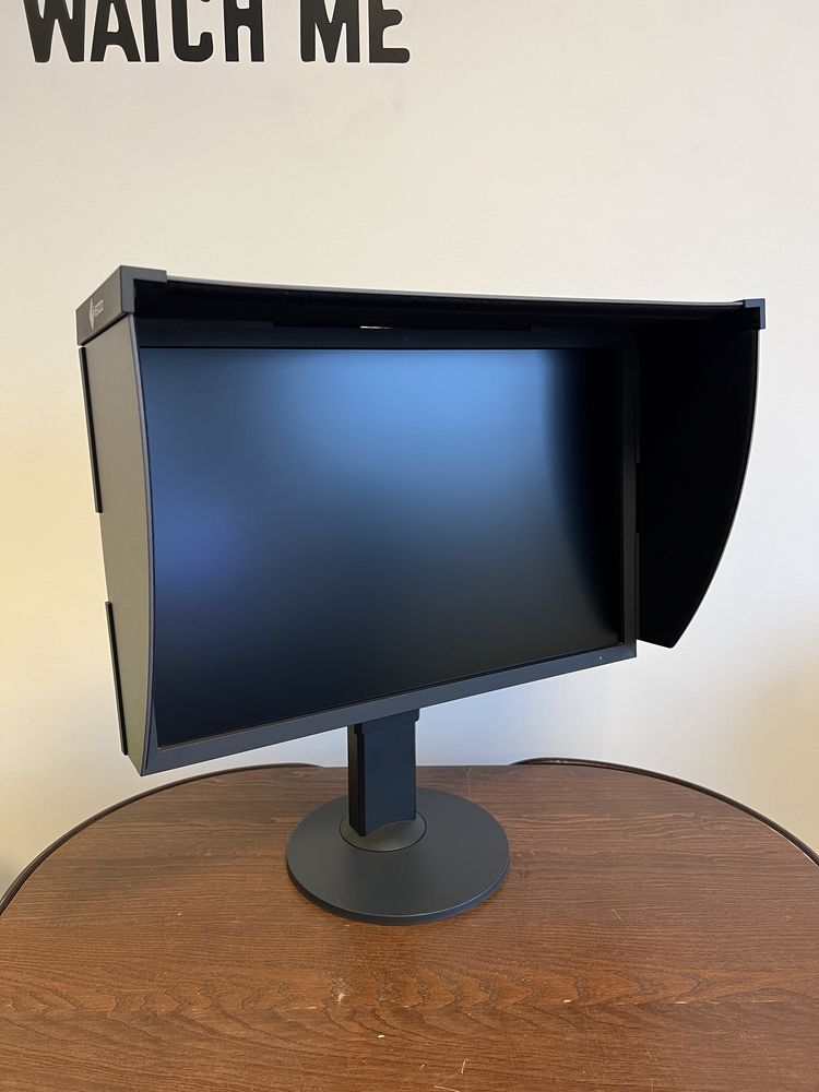 Monitor graficzny EIZO CS2420 + kaptur, 4000h, idelalny, FV