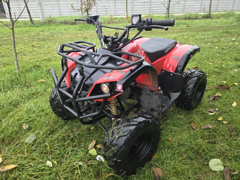 Quad 110ccm automat 1+1