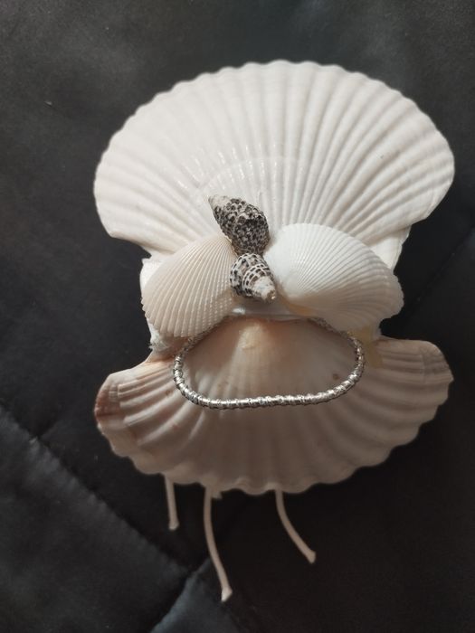 Porta-alianças em concha