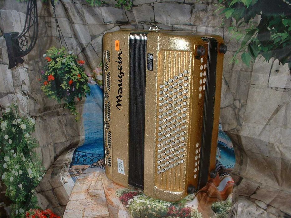 Acordeão Avenda G, .976