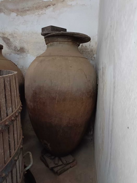 Adega antiga desativada