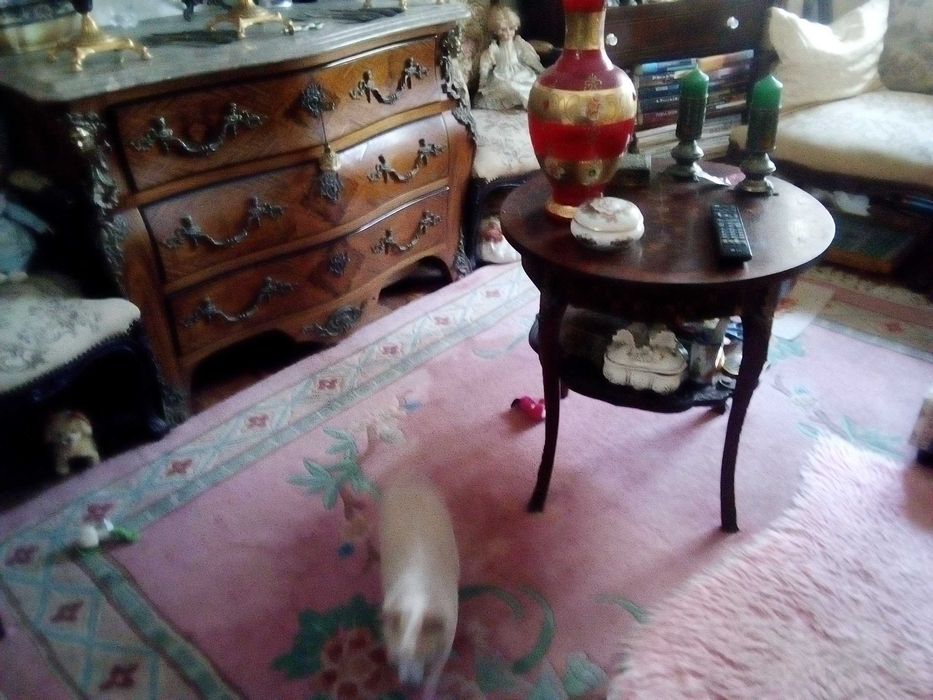 Cómoda Luís XV (réplica)