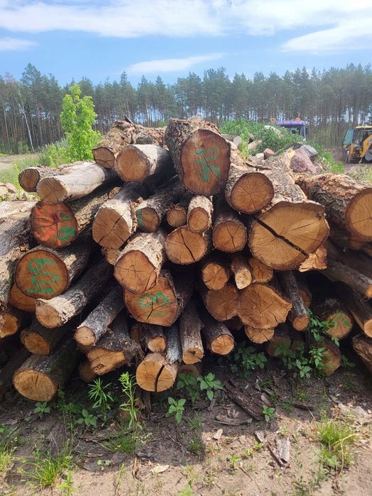 Drewno opałowe olcha, sosna, dąb, brzoza