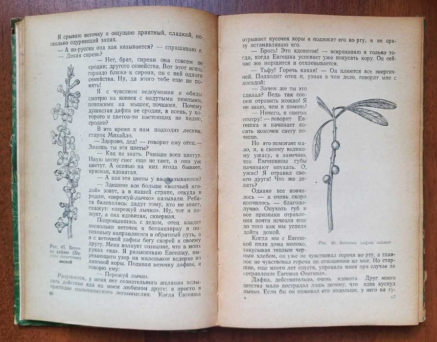 Цингер А.В. Занимательная ботаника. 1954г.