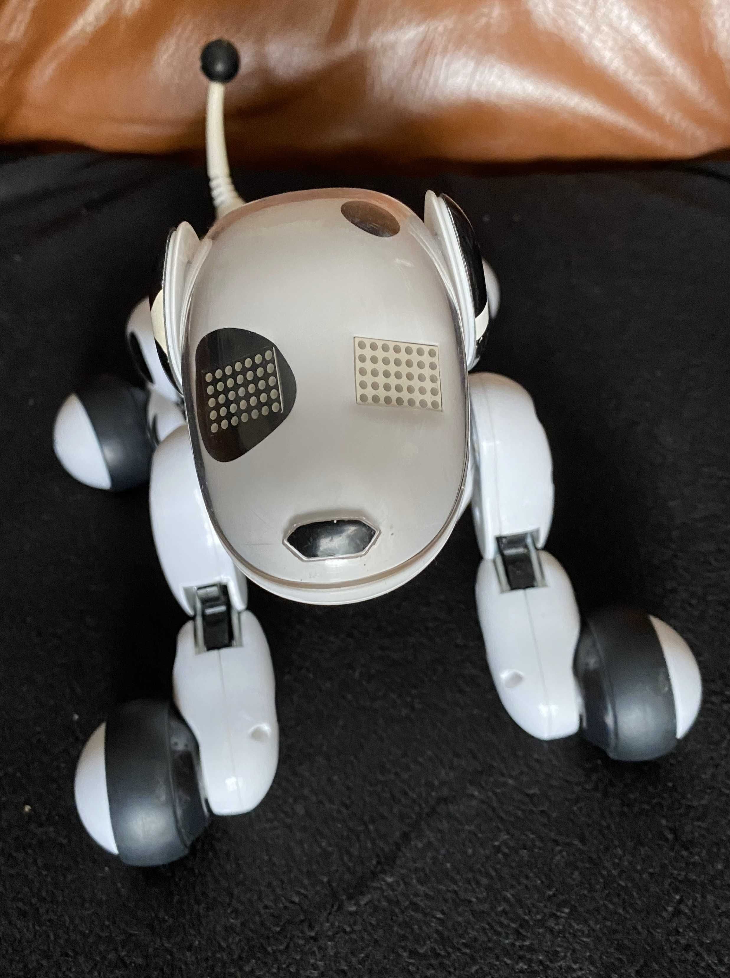 Cão Zoomer eletrônico - Robot Interativo