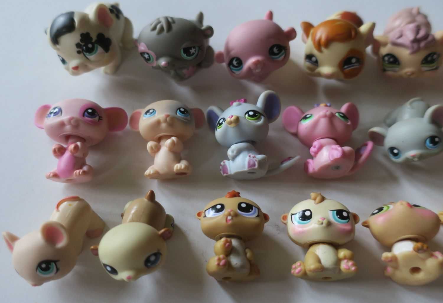 Świnka morska mysz myszka chomik Littlest Pet Skop lps
