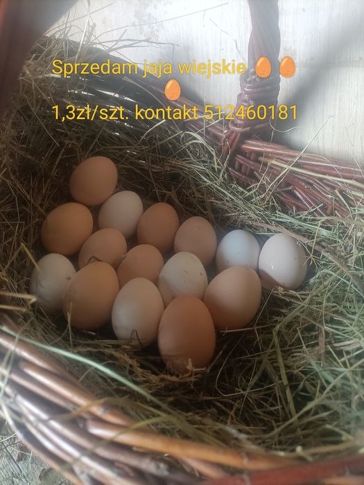 Sprzedam jajka..