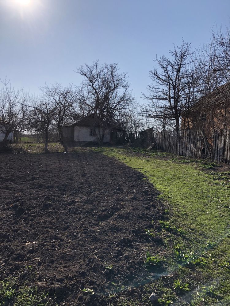 Будинок з великою ділянкою у с. В'язівок