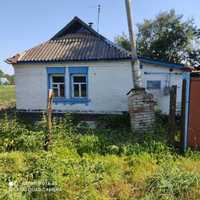 Продам будинок в с. Горностайпіль 120 км від Києва