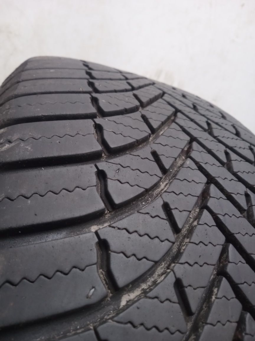 Opona całoroczna 205/55R16 Firestone Multiseason  21r