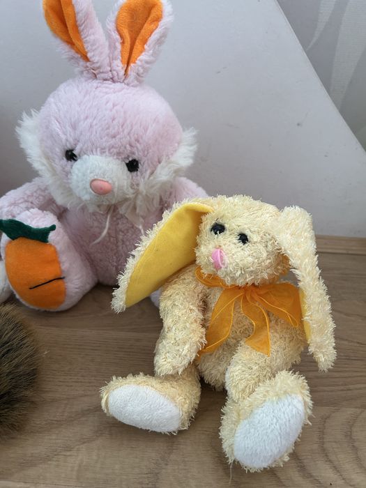 Баранчик, собака, іжачок, заєць, мавпа