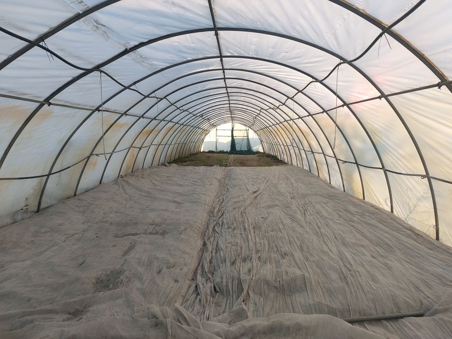 Tunel foliowy 6x30 konstrukcja