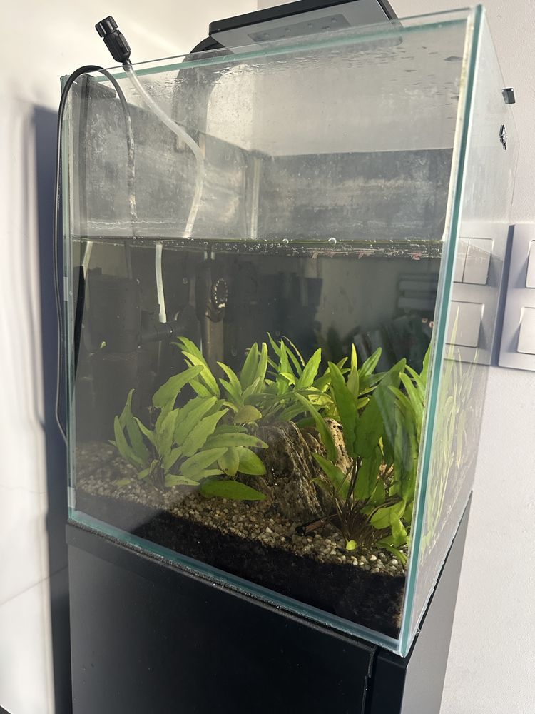 Akwarium Aquael Shrimp Set Day&Night 30 l, szafka i zawartosc