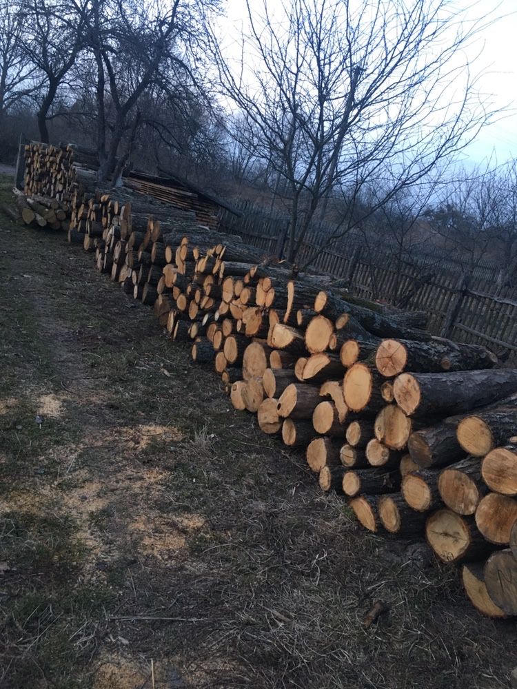 Продам Дрова сухостой , дуб , вільха дешево!