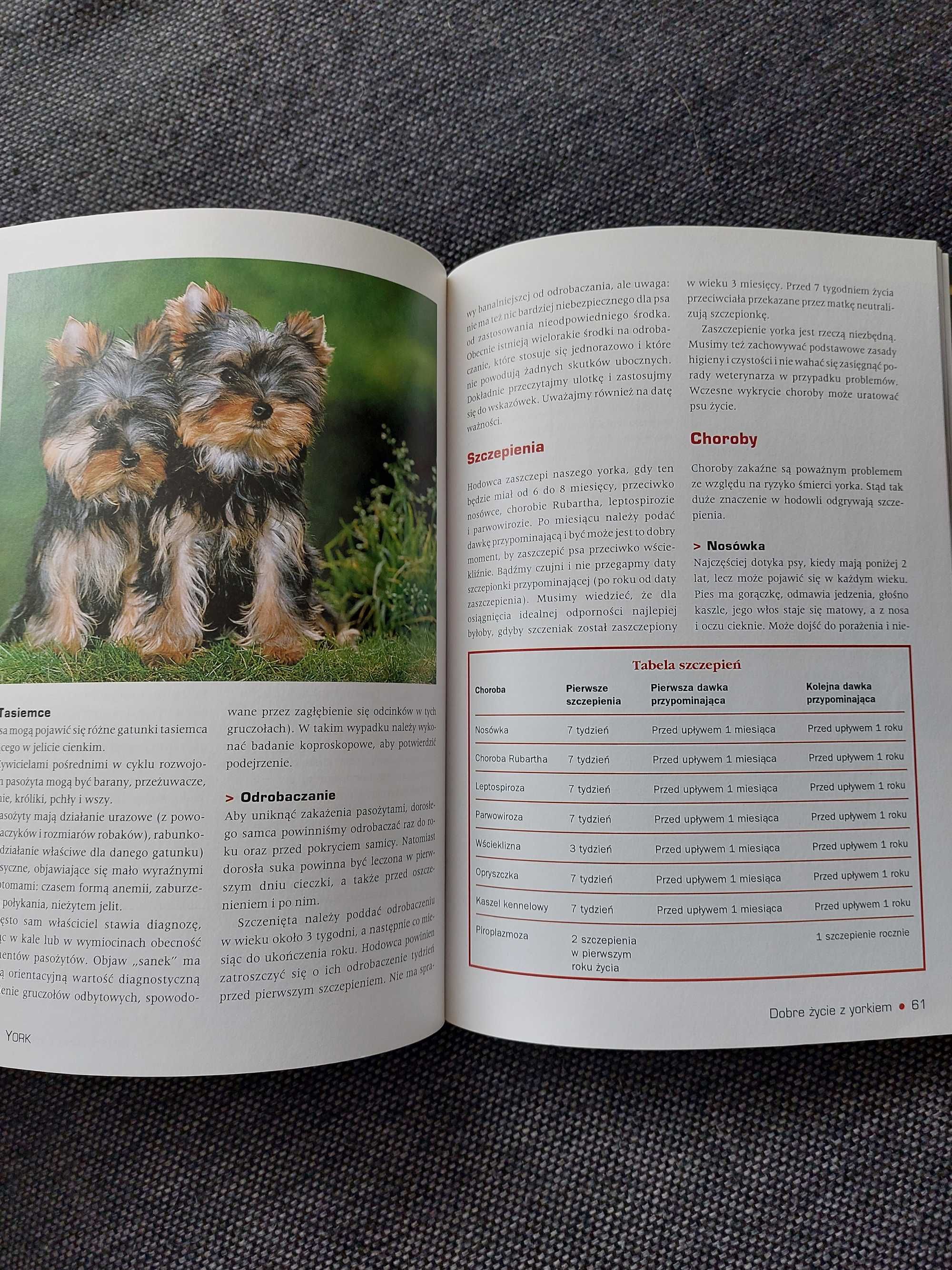 Książka Yorkshire Terrier Opieka i Hodowla