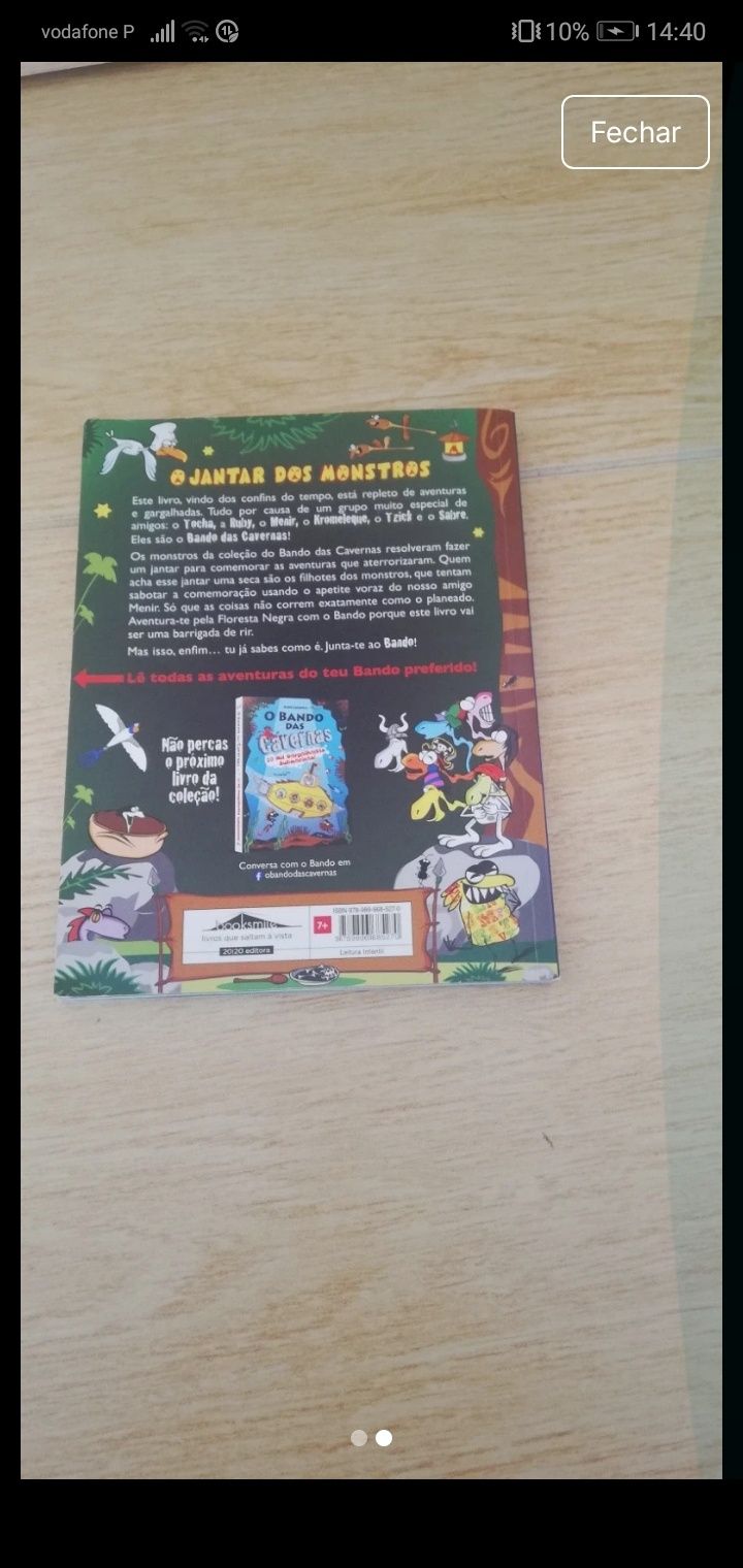 Livro " o bando das cavernas"