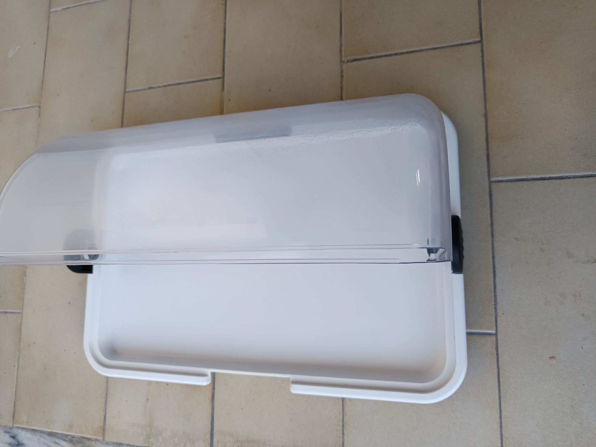 Vitrine simples para venda