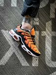 Мужские кроссовки Nike Air Max Plus Tn "Orange" Размеры 41-45
