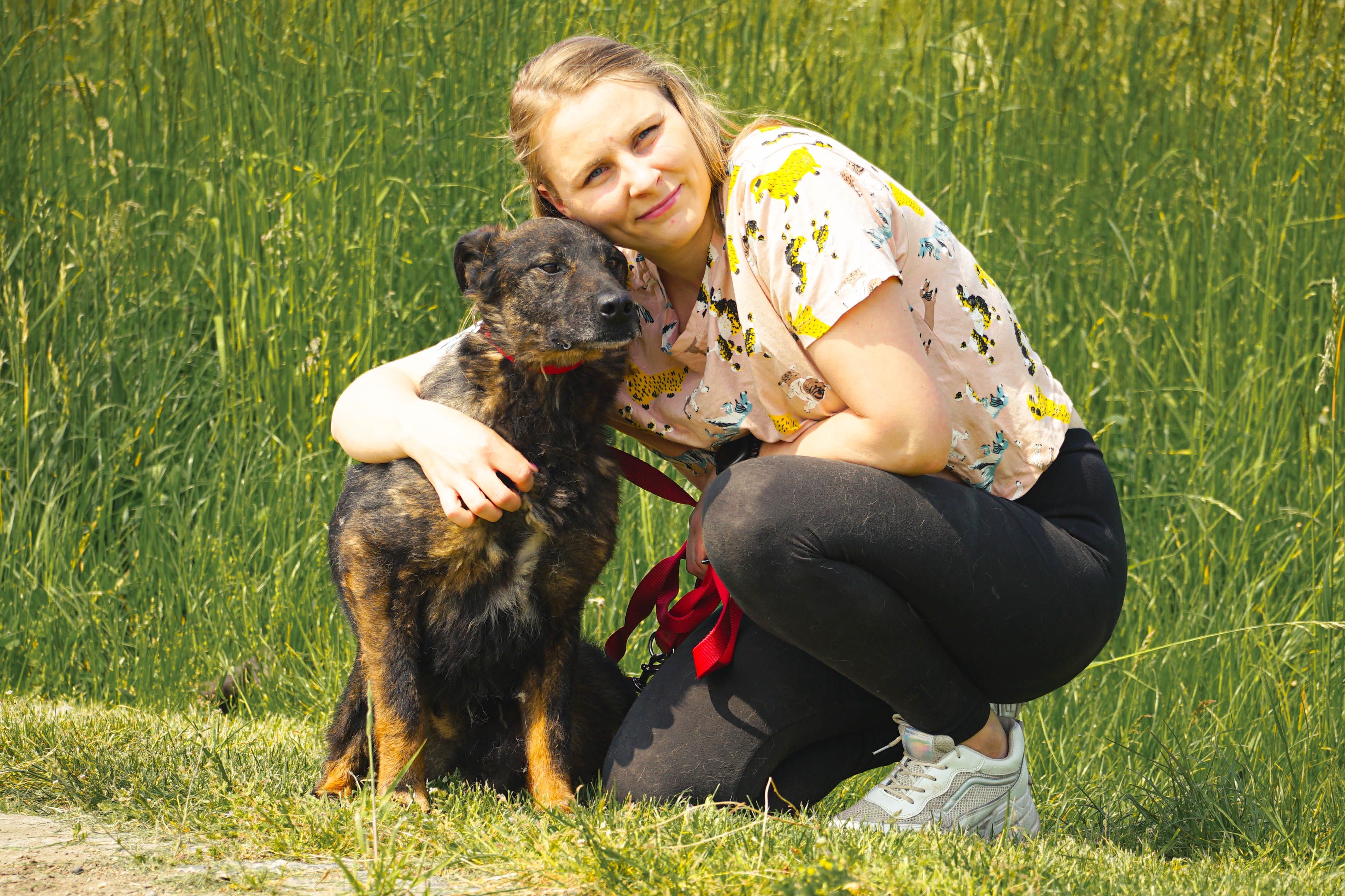 Misio czeka na swoją kolej pójścia do domku