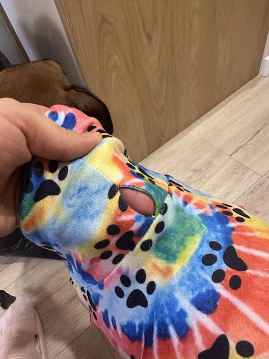 Piżamka dla psa charcik włoski, whippet