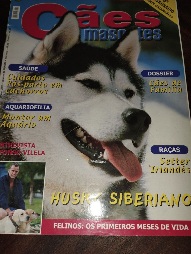 Revistas cães mascotes