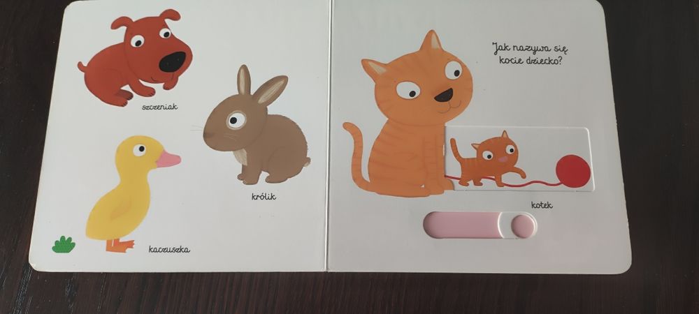 Książka "Pierwsze słowa młode zwierzęta"