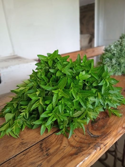 Мята ,веник для бани