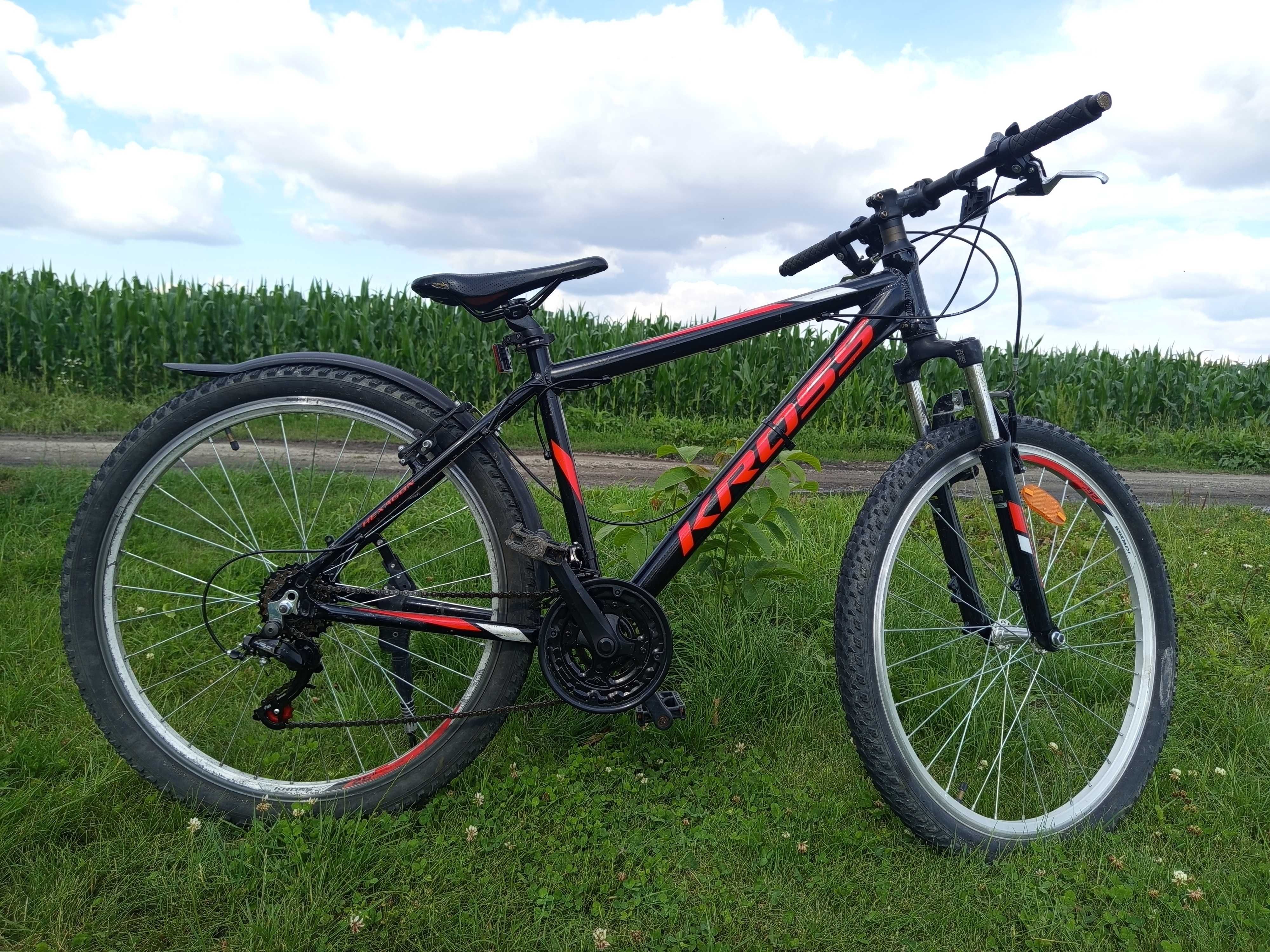 Rower Kross hexagon roz. S