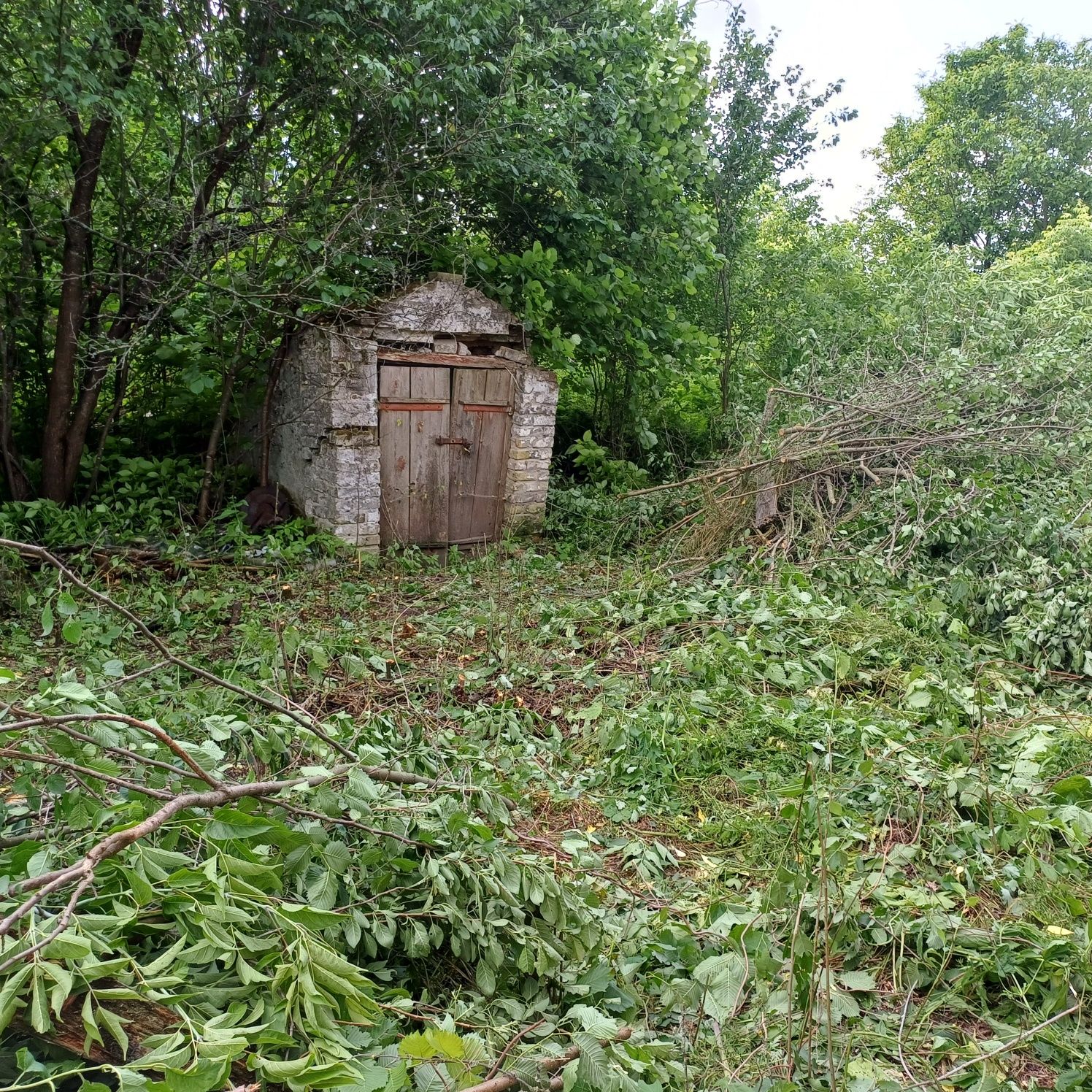 Дві суміжні земельні ділянки  площею 0,56 Га з будинком в с. Кобижча