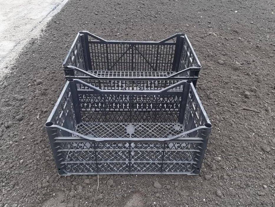 50x30 skrzynki na owoce warzywa skrzynka plastikowa warzywniak giełda