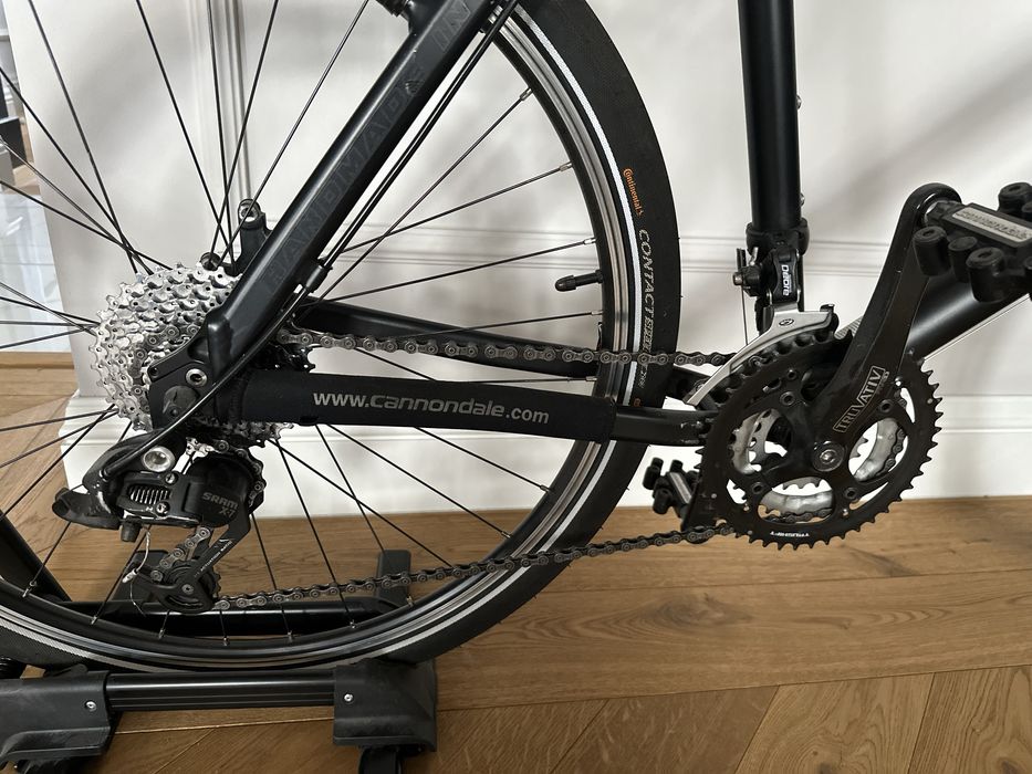 Bed Boy Cannondale XL Handmade USA