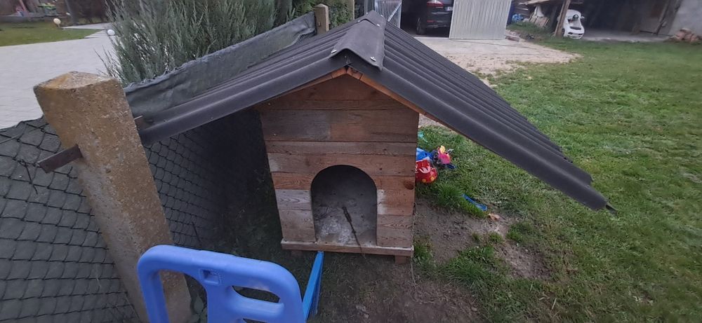 Duża buda dla pieska