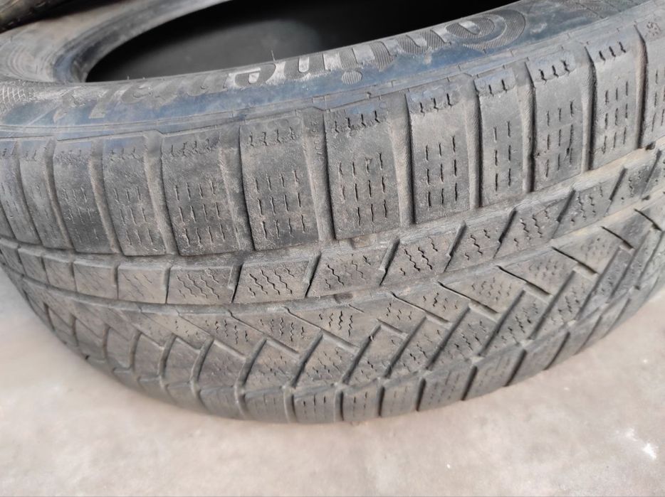 continental wintercontact