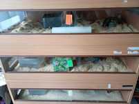 Terrarium dla węży  3 sztuki z termostatem i mata grzewczą
