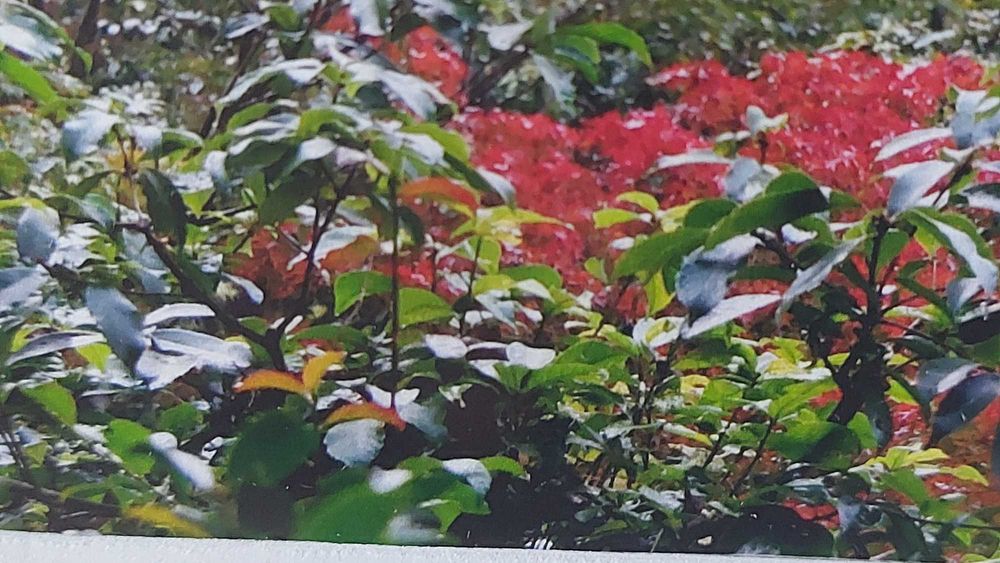 Fotografia „Beach Day #2” Hiroko Shikashio – limitowana edycja