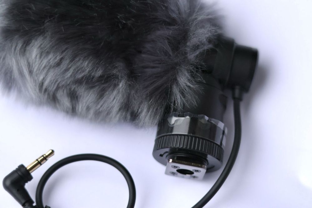 Мікрофон Canon DM-100