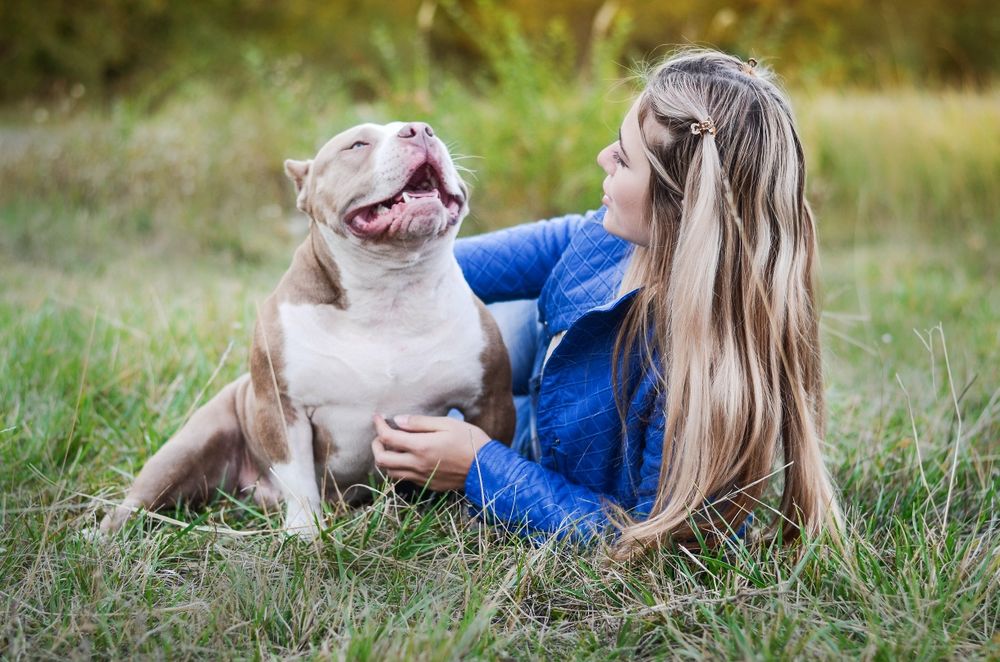 Відкритий для В'язки