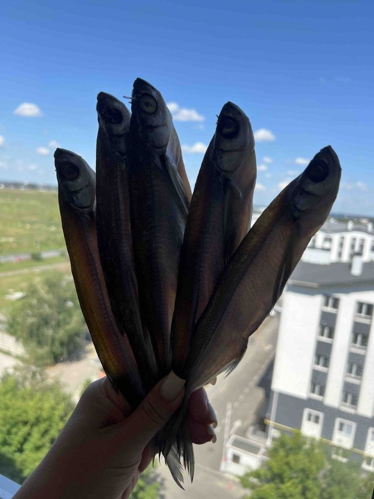 Раки,креветка,рыба,икра