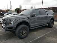 Ford F150 RAPTOR | 3.5 V6 450 KM | napęd 4x4 | piękny kolor | zabudowa paki