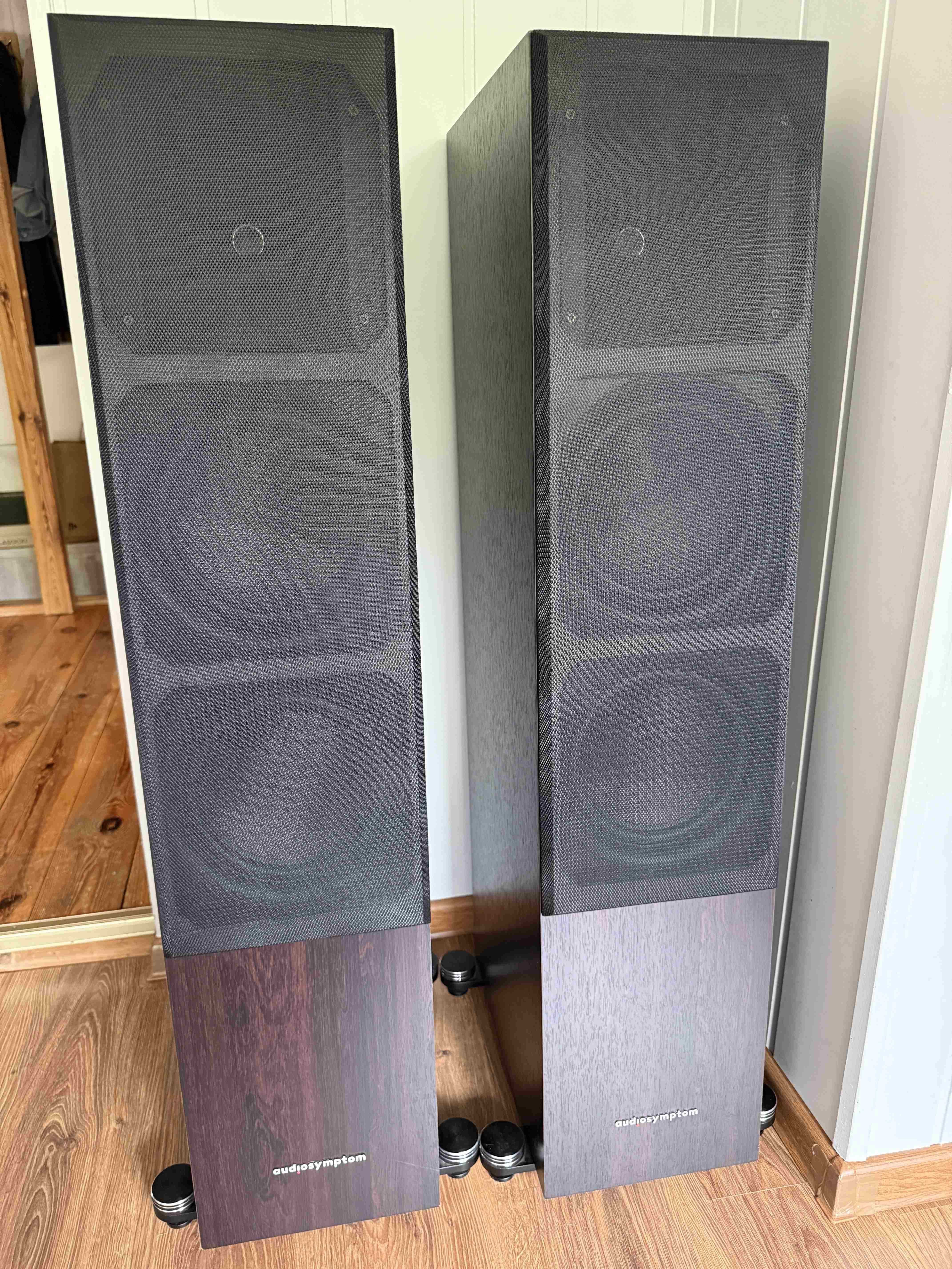 Audiosymptom i8 Carbon Walnut zmodyfikowane zwrotnice