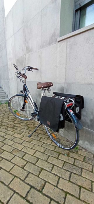 Bicicleta pasteleira Sparta Apollo