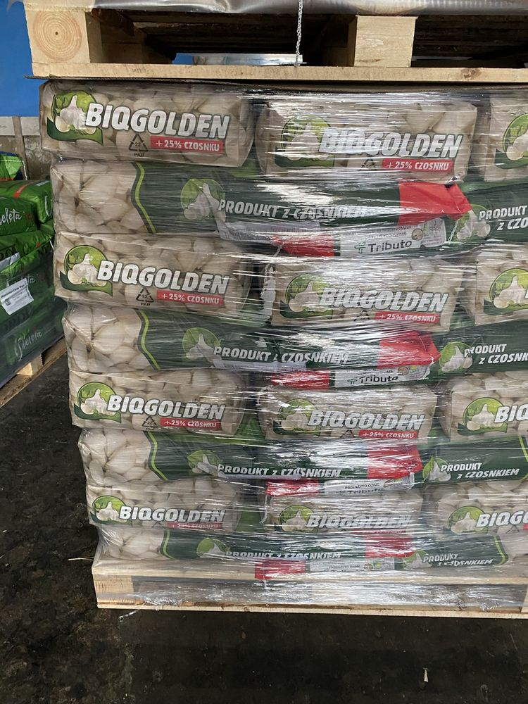Koncentrat dla tucznikow Biogolden